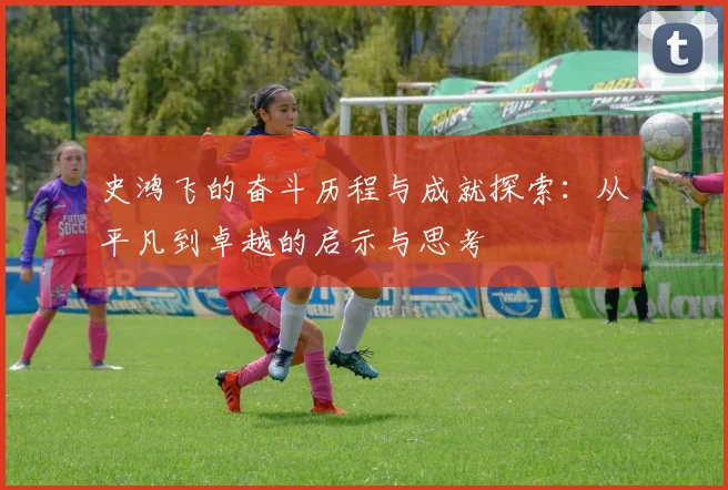 史鸿飞的奋斗历程与成就探索：从平凡到卓越的启示与思考