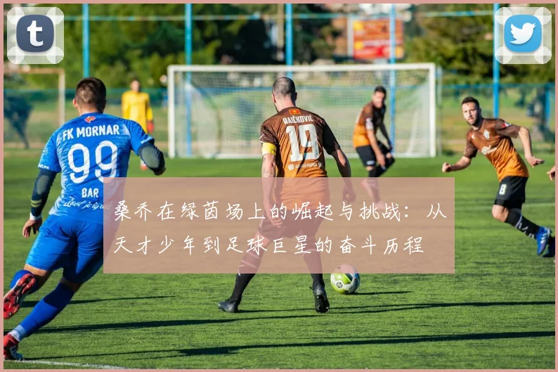 桑乔在绿茵场上的崛起与挑战：从天才少年到足球巨星的奋斗历程
