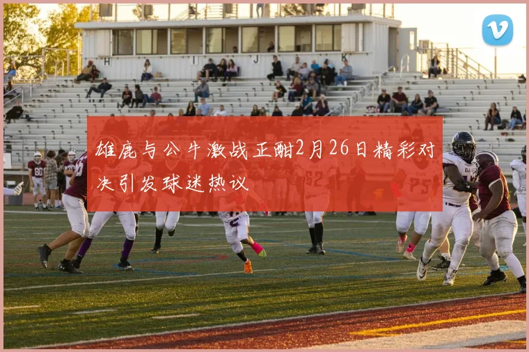 雄鹿与公牛激战正酣2月26日精彩对决引发球迷热议