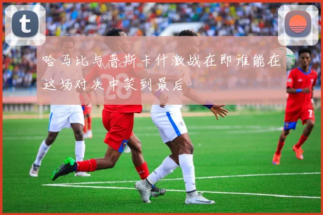 哈马比与普斯卡什激战在即谁能在这场对决中笑到最后