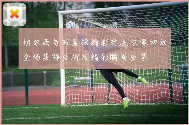 切尔西与布莱顿精彩对决录像回放全场集锦分析与精彩瞬间分享