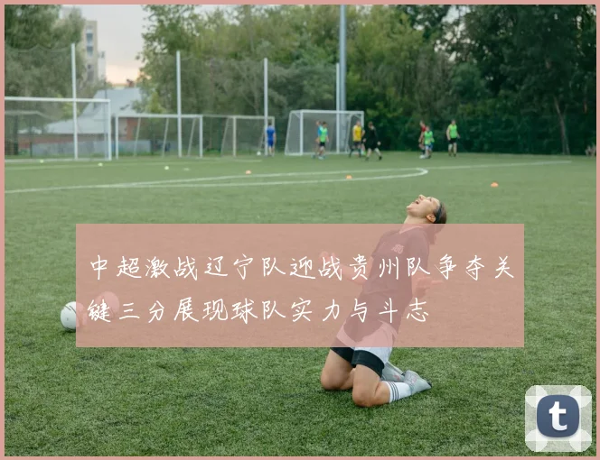 中超激战辽宁队迎战贵州队争夺关键三分展现球队实力与斗志
