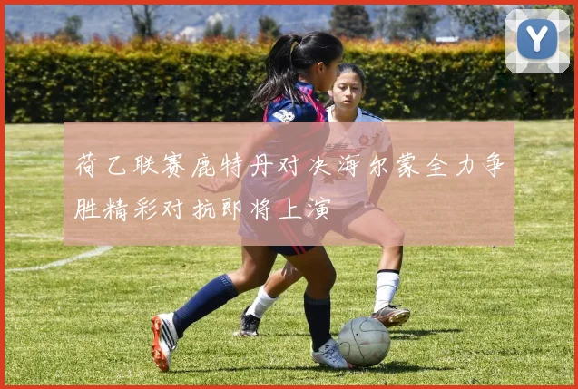 荷乙联赛鹿特丹对决海尔蒙全力争胜精彩对抗即将上演