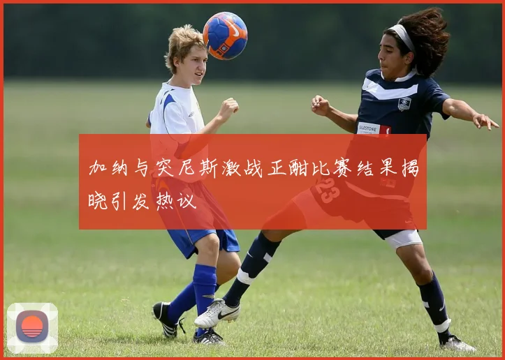 加纳与突尼斯激战正酣比赛结果揭晓引发热议
